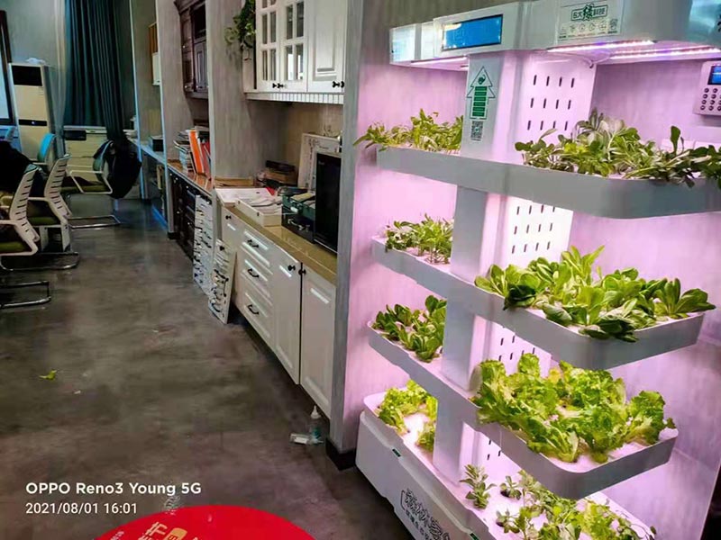 天津代理客戶展示