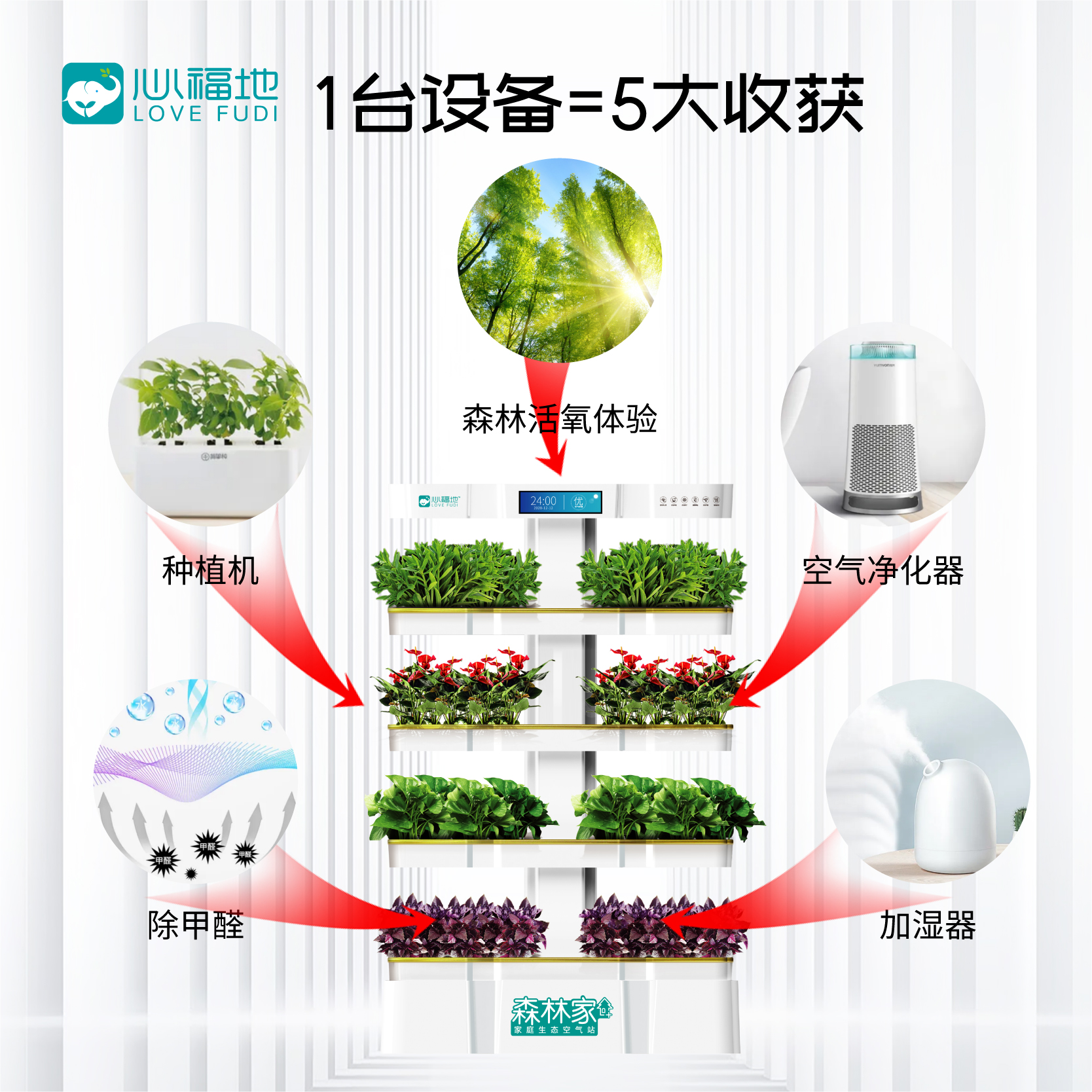 森林家-淘寶_畫板 1 副本 2_1.jpg