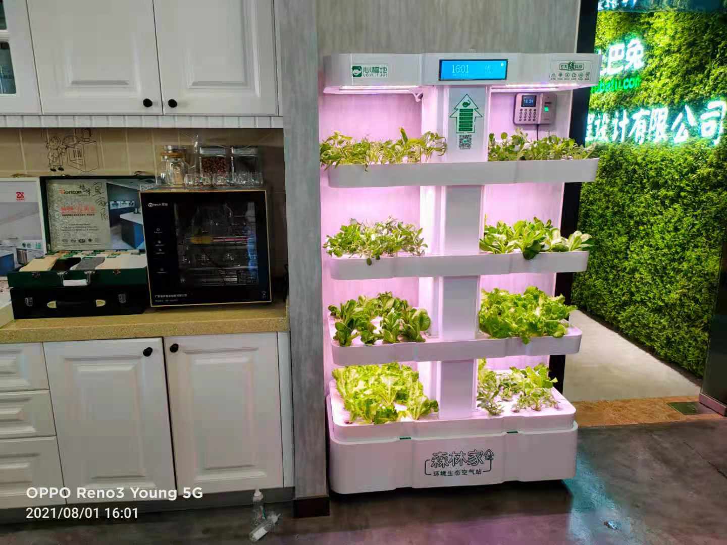 1628060241380869.jpg 76d95092feafd13a497f05ff102abd8.jpg