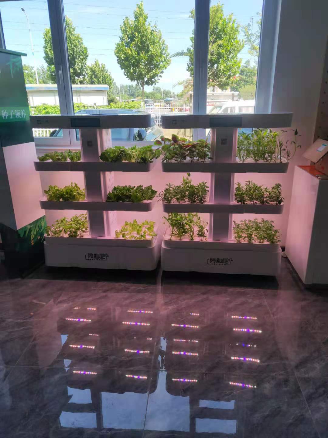 1631171623615979.jpg faa06f965c7264966e81de93f55df0c.jpg