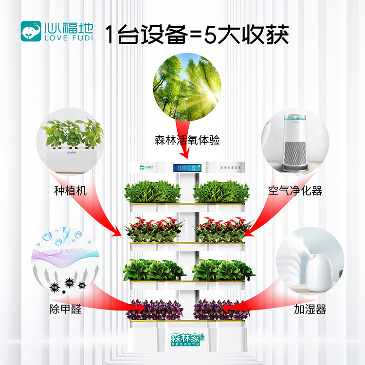 森林家-淘寶_畫板 1 副本 2_1.jpg