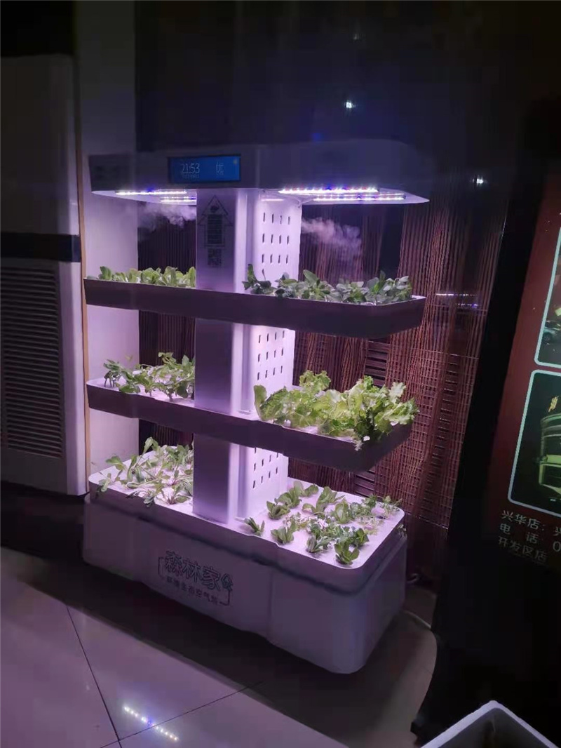 1633598207903995.jpg 63f3dc04e06bec929f0c03da7c82b37.jpg