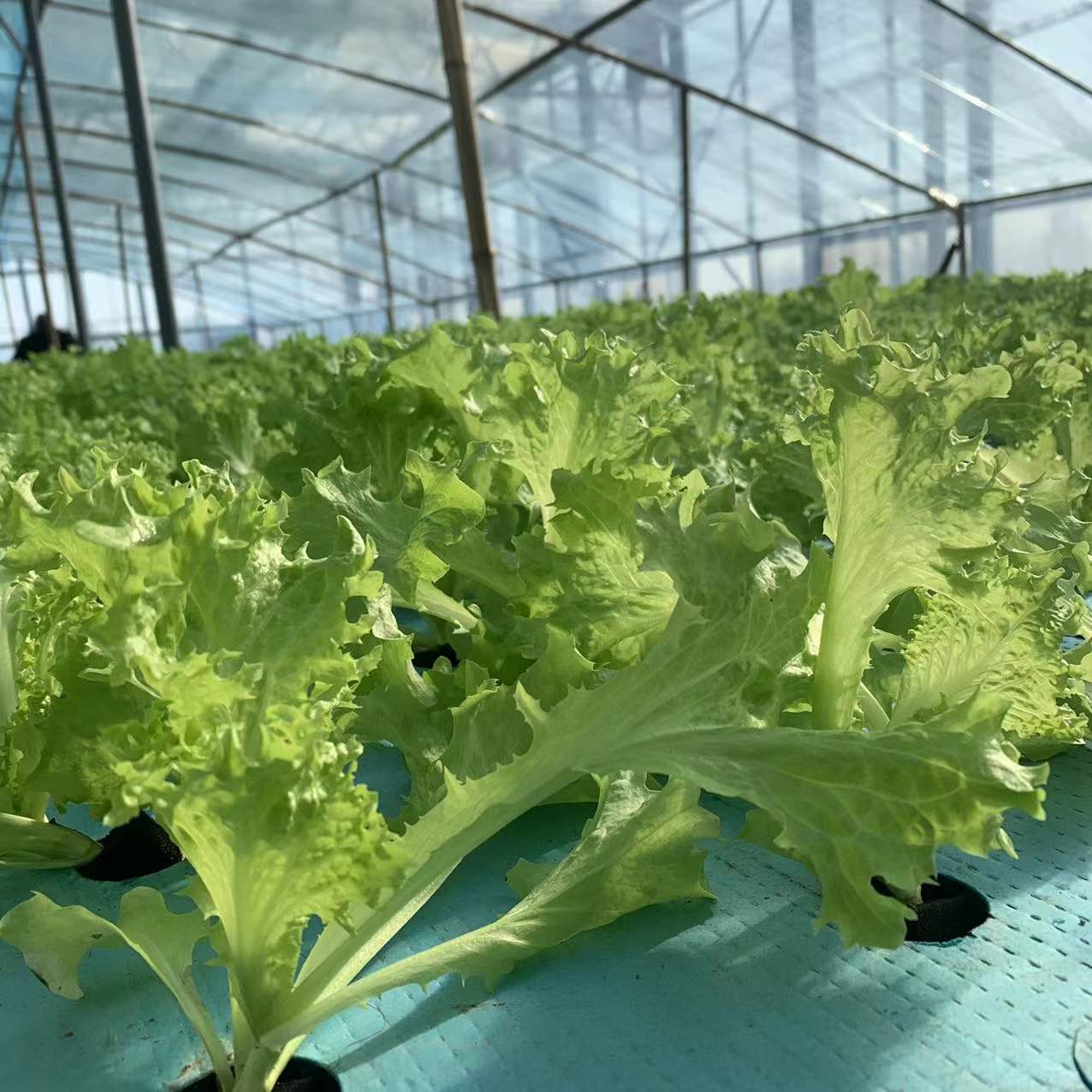 1644893751933620.jpg 微信圖片_20211204090824.jpg