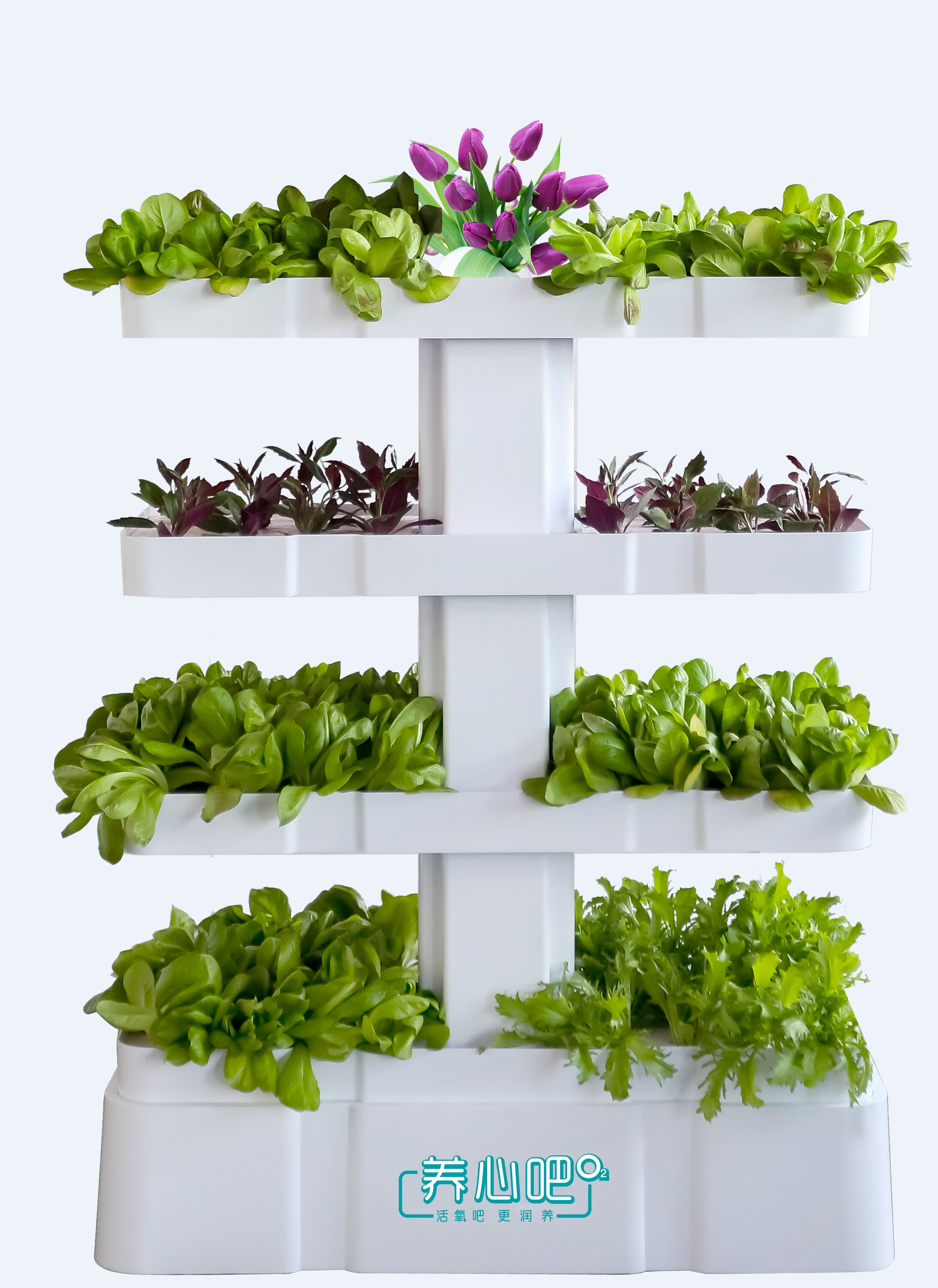 1644893763231403.jpg ET3A6473-純白色四層_proc.jpg