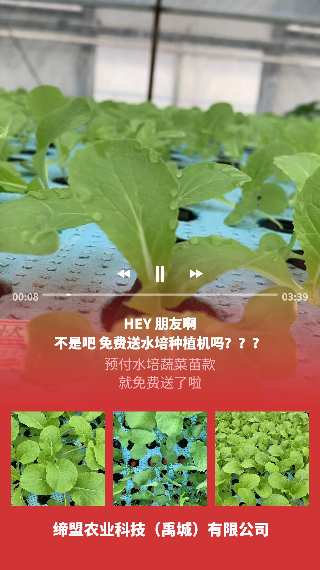 1644893797997376.jpg 易烊千璽應(yīng)援宮格海報_proc.jpg