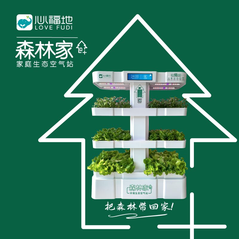 1650958642967836.jpg 森林家02.jpg