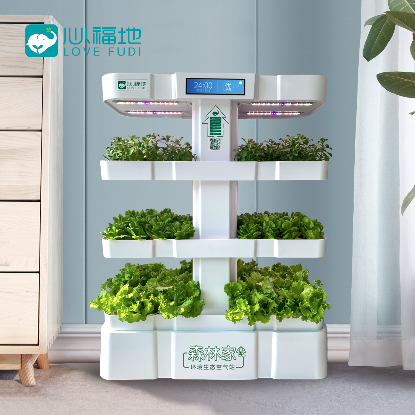 1650958835370379.jpg 森林家居家.jpg